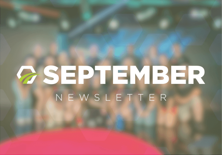 Newsletter WP Thumbail